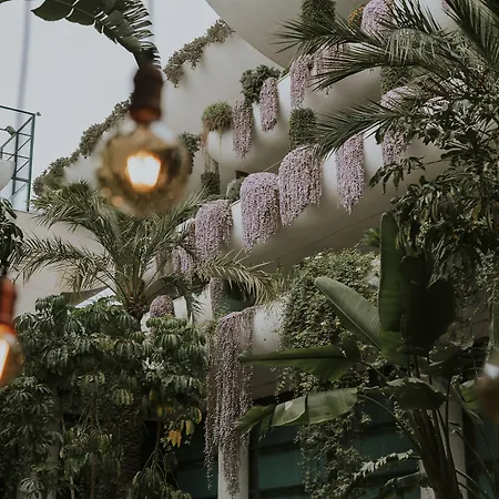 酒店 德鲁斯四星级高级酒店 4*